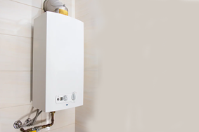 They Are Smaller In Size